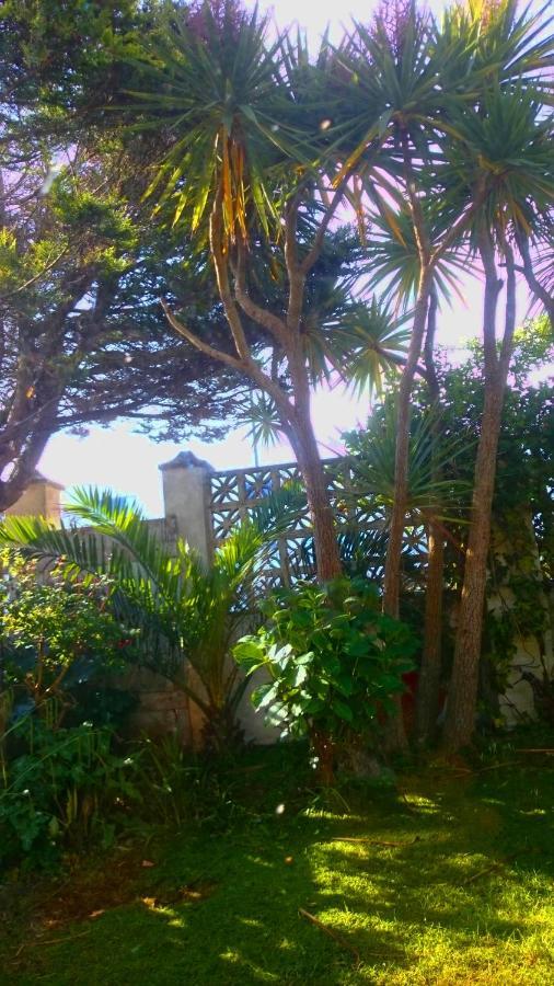 The Blue Palms - Fistral Beach Newquay  Exterior photo